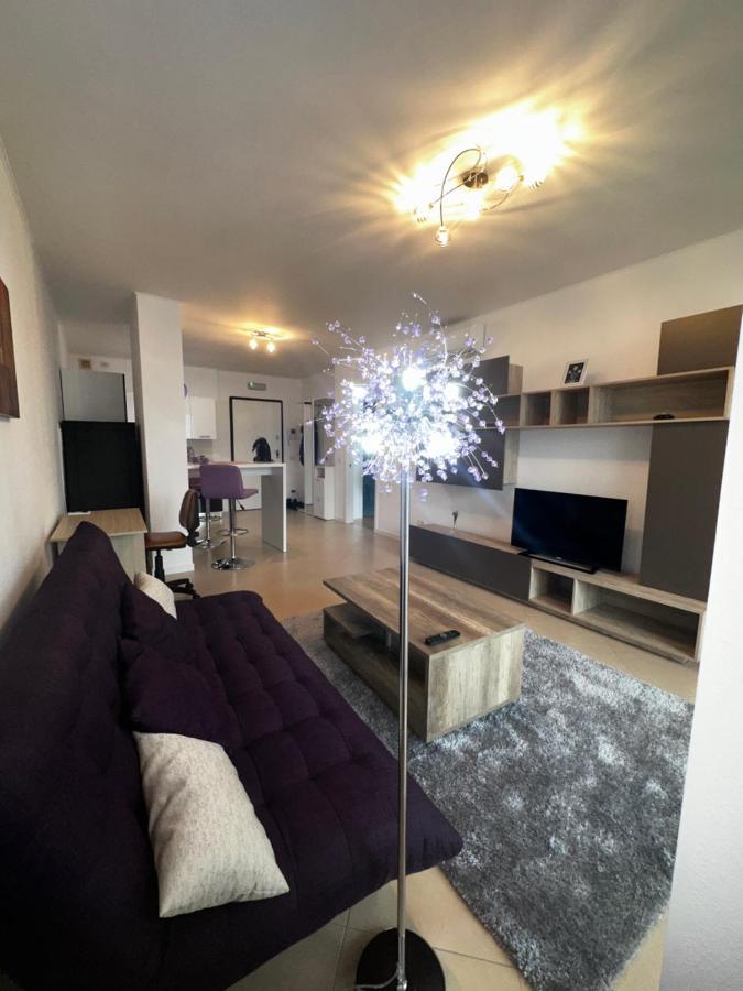 Central Apartment تيميشورا المظهر الخارجي الصورة
