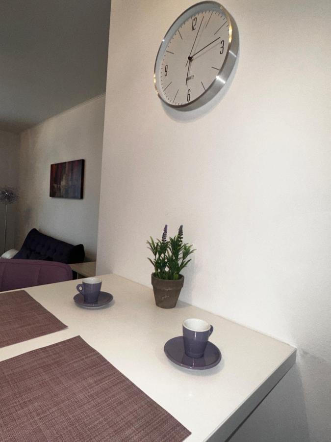 Central Apartment تيميشورا المظهر الخارجي الصورة