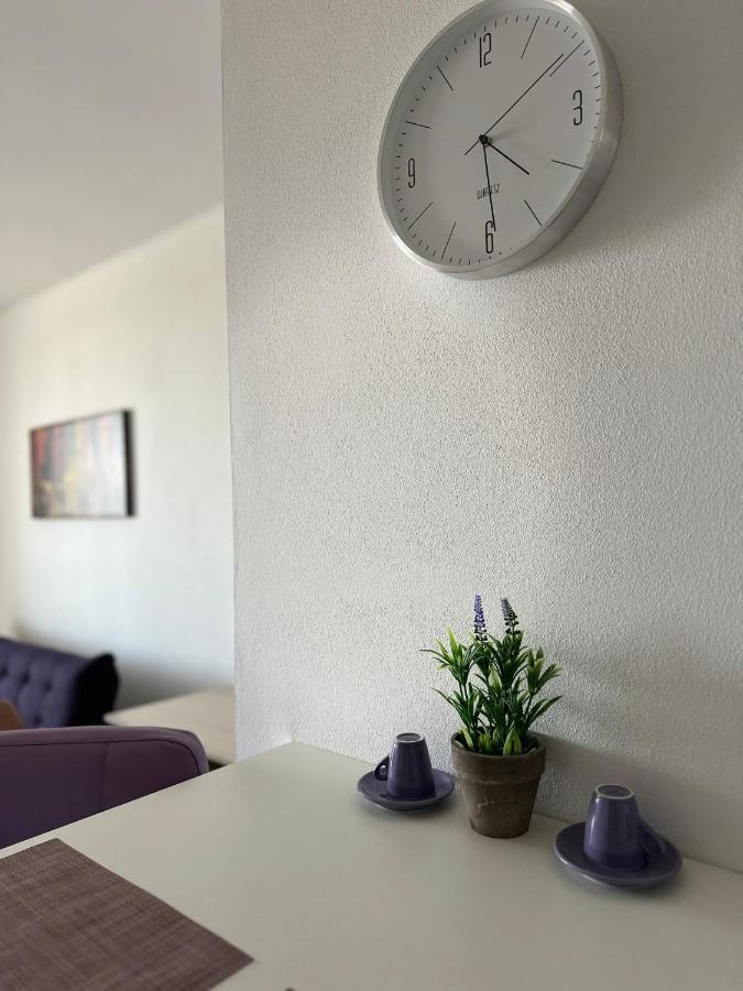 Central Apartment تيميشورا المظهر الخارجي الصورة