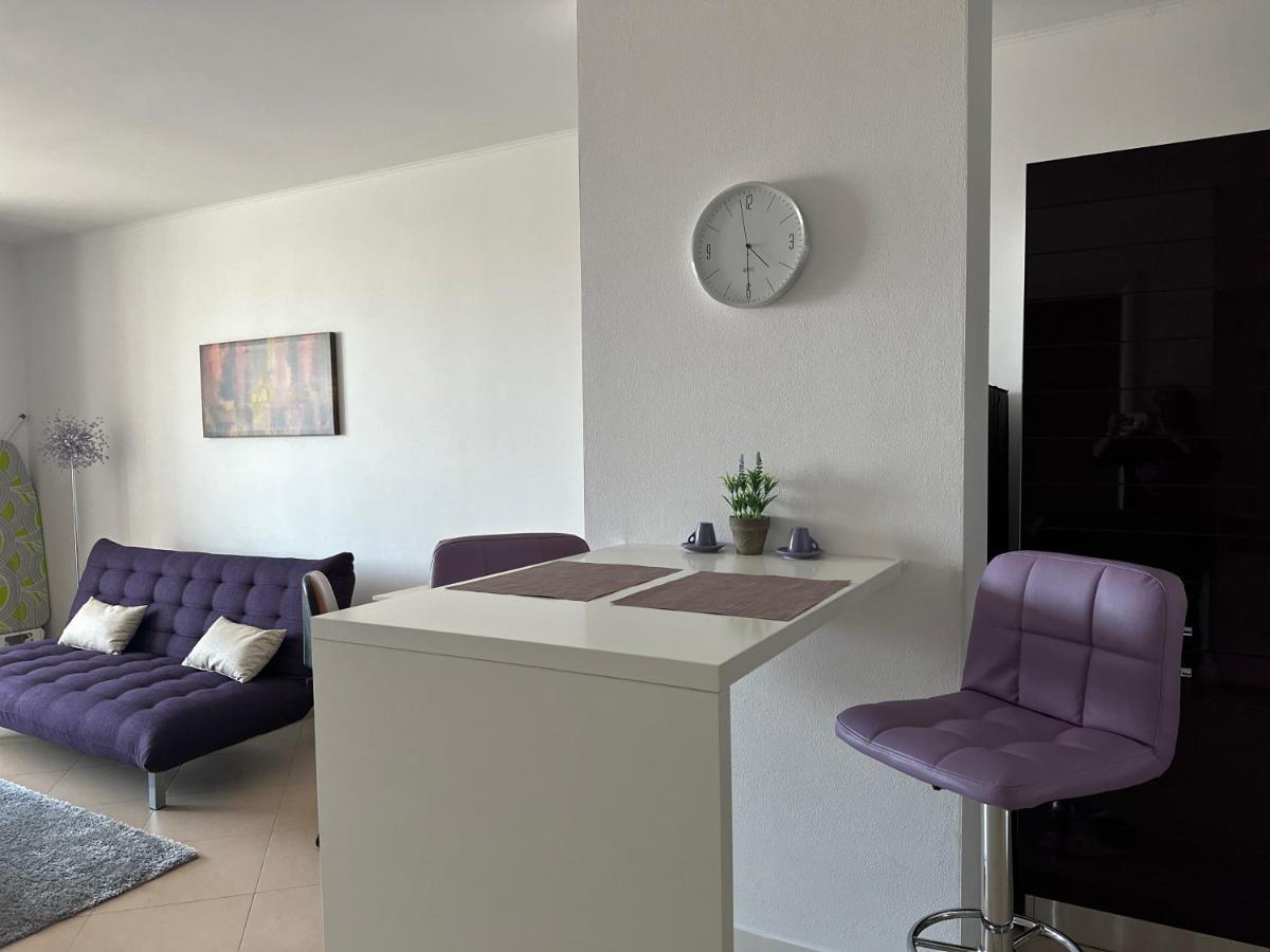 Central Apartment تيميشورا المظهر الخارجي الصورة