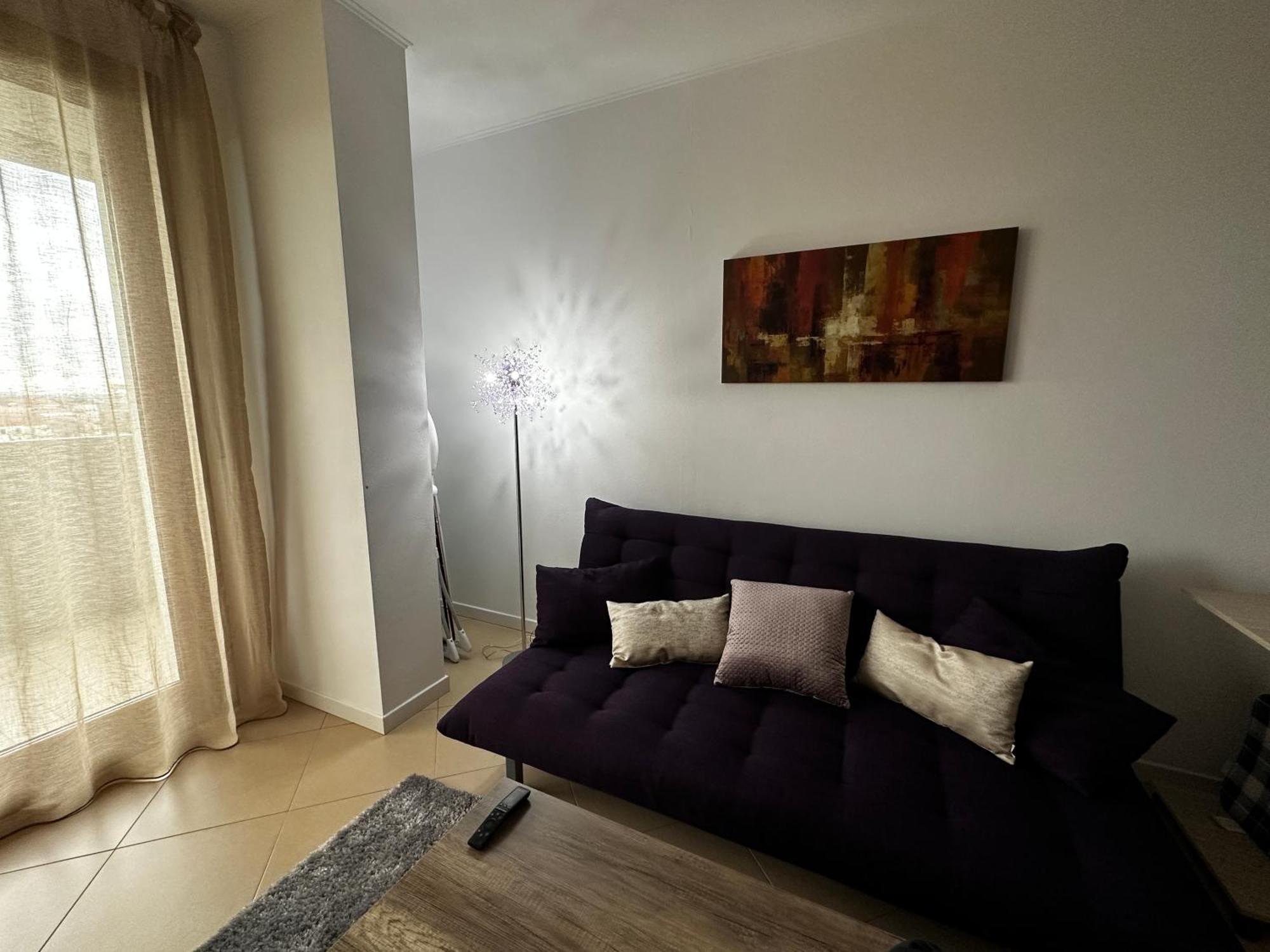 Central Apartment تيميشورا المظهر الخارجي الصورة