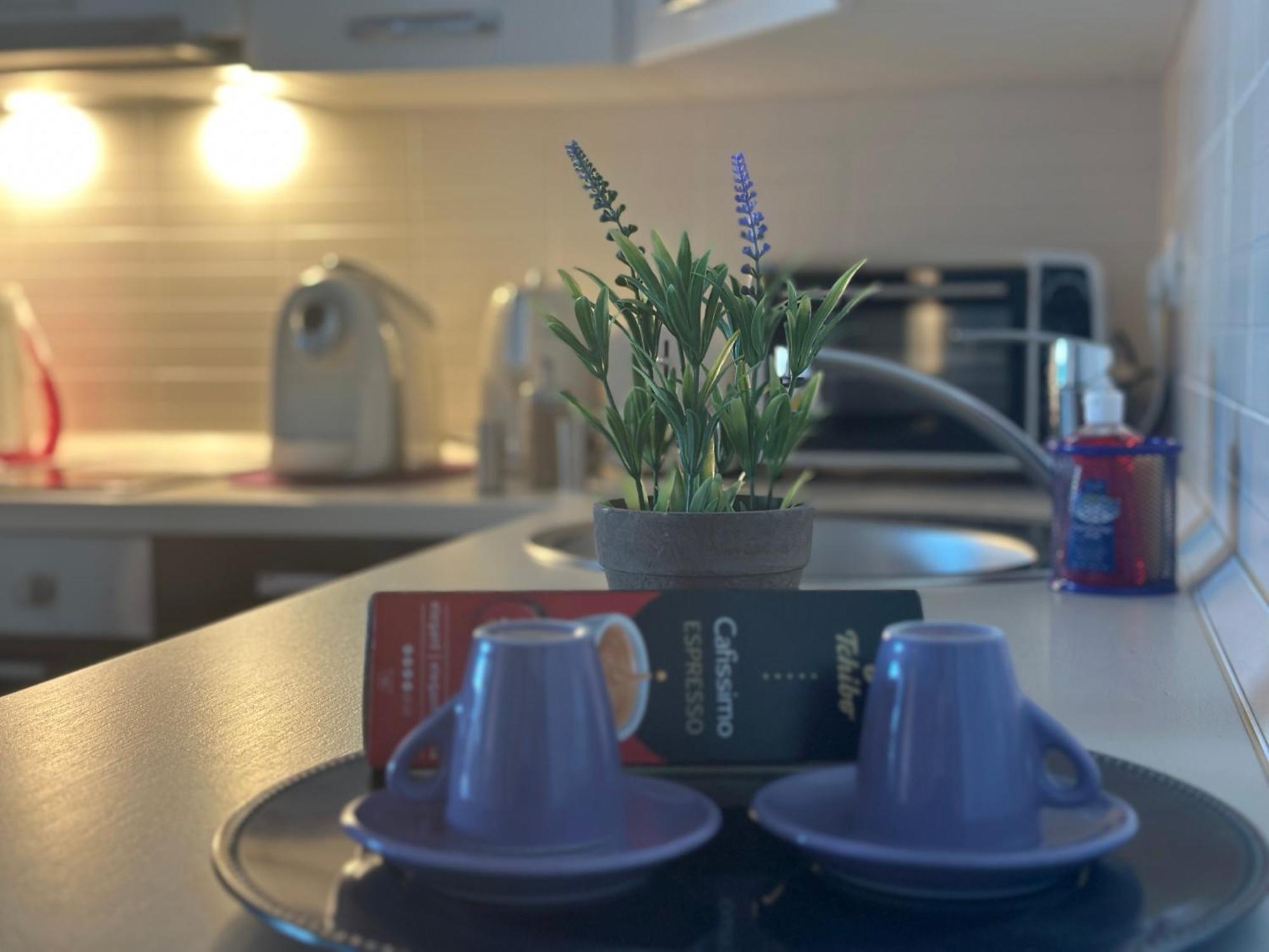 Central Apartment تيميشورا المظهر الخارجي الصورة