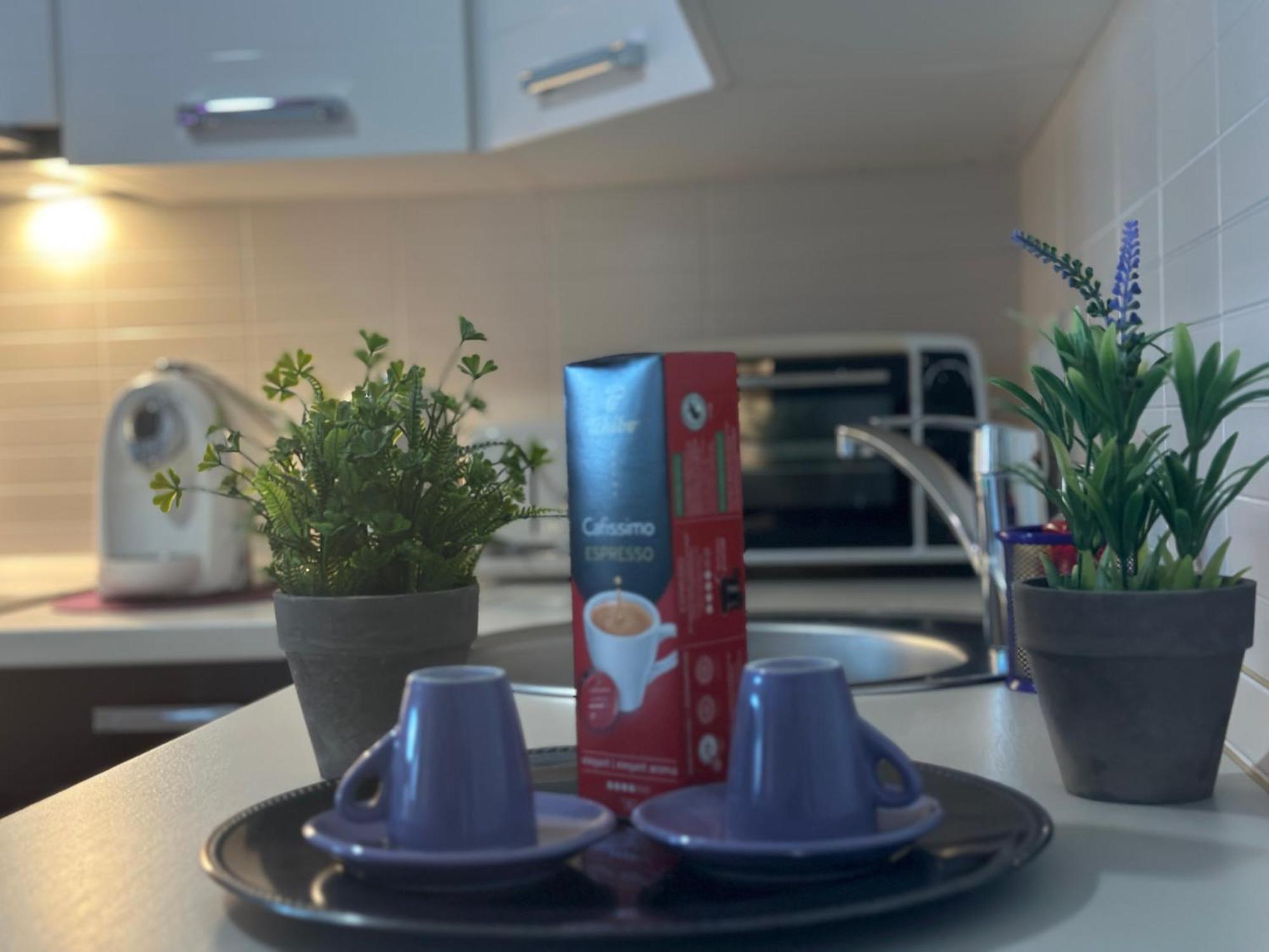 Central Apartment تيميشورا المظهر الخارجي الصورة